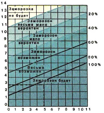 ночные заморозки